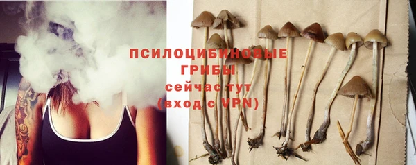 герыч Магас