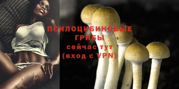 герыч Магас
