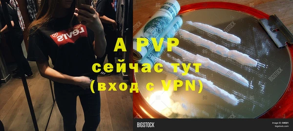 стафф Майский