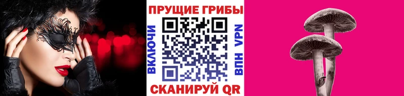 Псилоцибиновые грибы Psilocybe  дарк нет как зайти  Дорогобуж  кракен рабочий сайт 